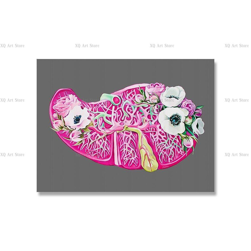 

Квітка Анатомія людини Художній принт Серце Мозок Нирки Матка Грудна клітка Печінка Легені Скелет Щитовидна залоза Горло Картини та принти на полотні 30x40cm No Framed