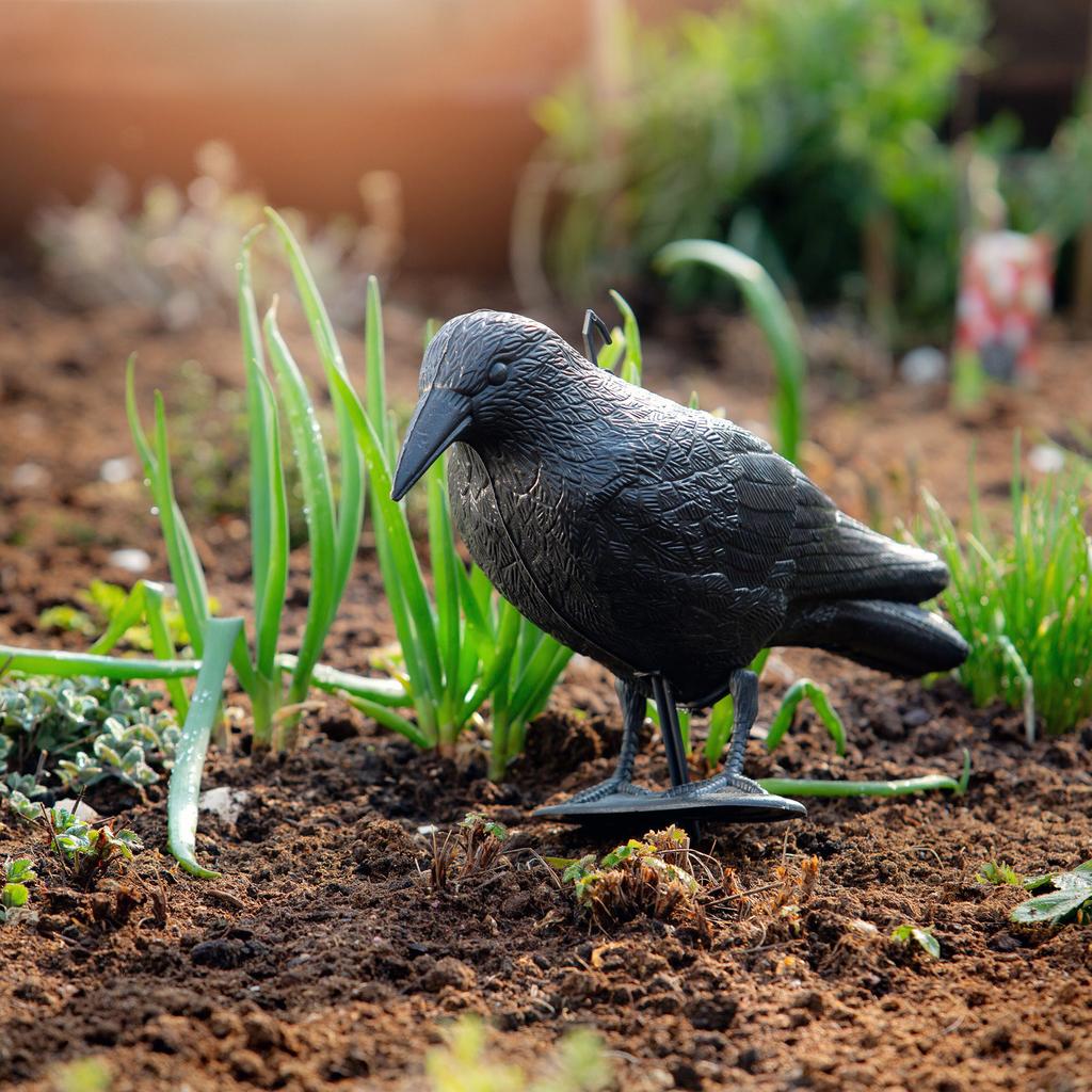KADAX Kruk Odstraszacz Ptaków Gołębi szpaków Duży Na Balkon Ptaki XXL