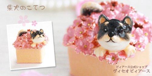 Piearth, the leading brand of crystal jewelry boxes. Kotetsu the Shiba Inu Jewelry Box ex510-2 ex510 [Pierce Direct Shop]