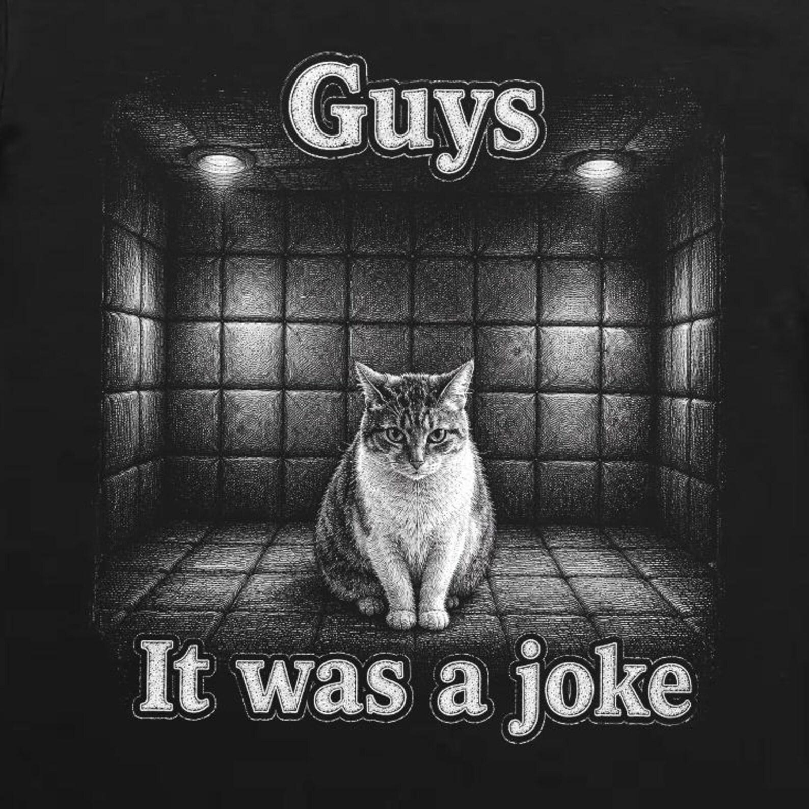 Guys It Was A Joke Cat Meme T-Shirt, Funny Sarcastic Padded Room Tee S