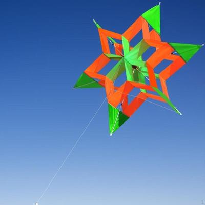 3D Lotus Flower Kite Colorful Cute for Park and Seaside