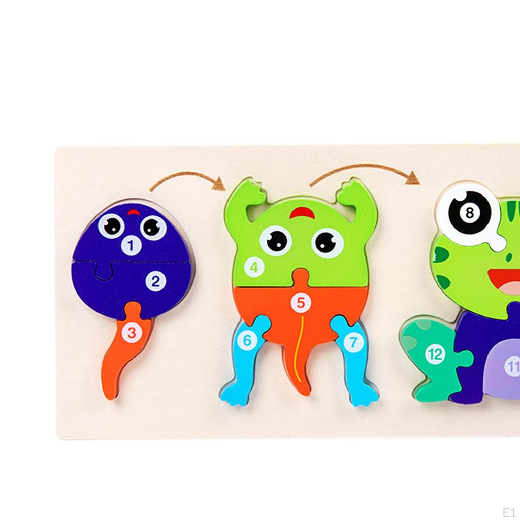 Tierlebenszyklus Puzzle Motorik Puzzlebrett Kreativität Vorstellungskraft für Kleinkind Vorschule