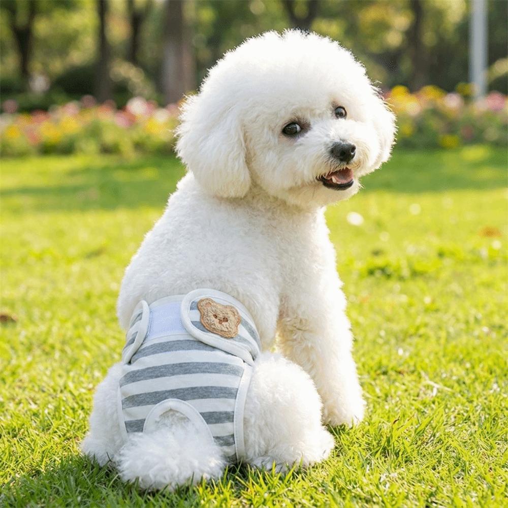 Breathable Dog Physiological Pants Leak-proof Dog Menstrual Pants Dog Diaper Dog Heat Season