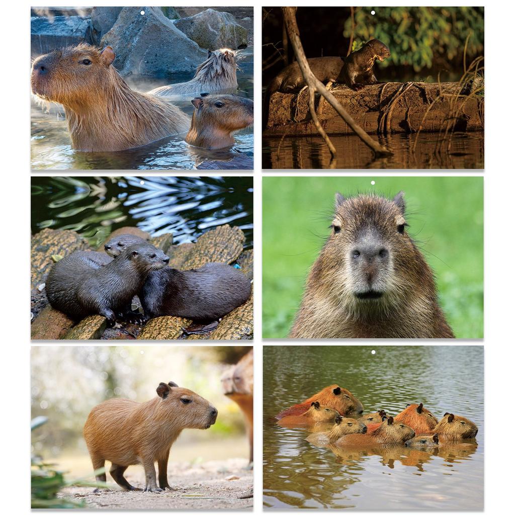 2026 Themed Wall Calendar Monthly Calendar With 16 HD Photos