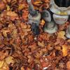Miniature Terrain Micro Landscape Leaves Layout Scene DIY Miniature Leaf  Sand Table