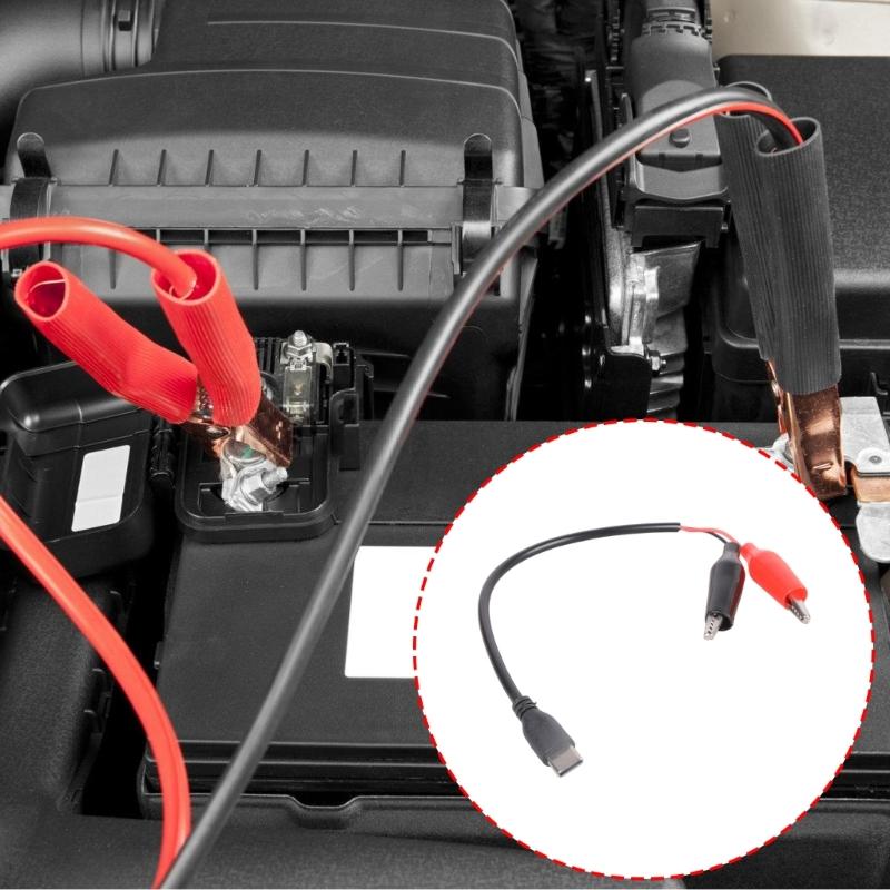 Type C Male to Double Alligator Clip Test Detection Cable for Electronic Laboratory Power Supply Wire Test Leads Cord