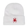 Unisex Spider Embroidery Beanies Hat Autumn Winter Warm Knit Cap for Women Men Travel Vacation Hats Caps