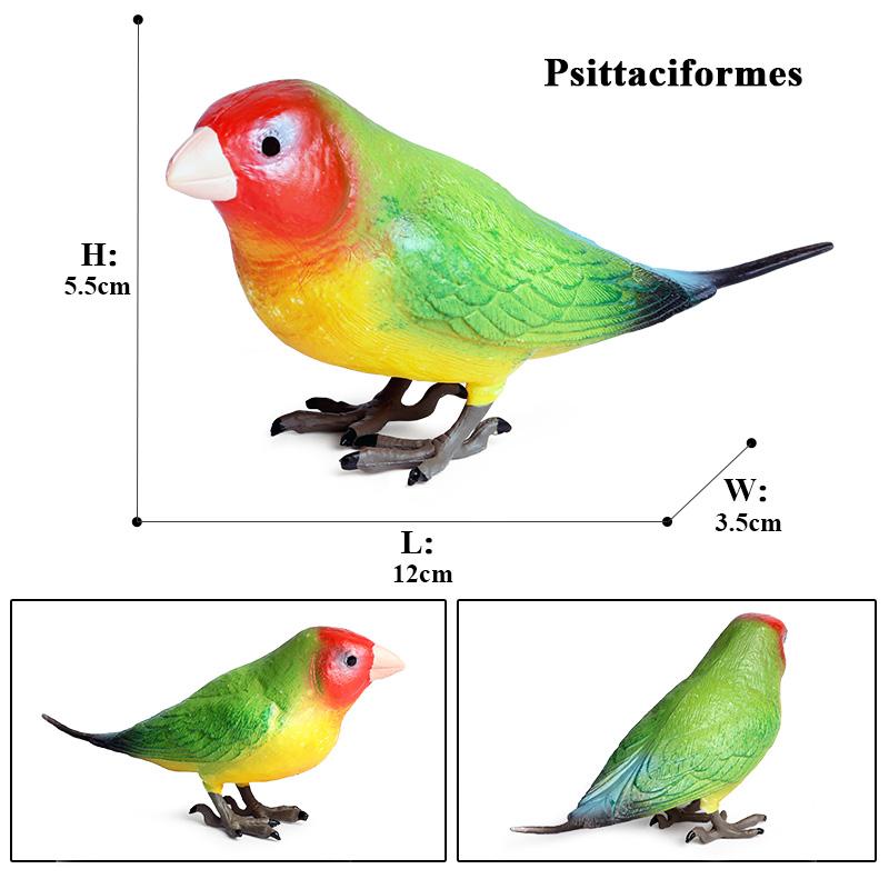 Oenux Bird Forest Animal Parrot Macaw Cockatiel Cockatoo Agapornis Puffin Model Solid PVC Garden Decoration Education Kids Toy
