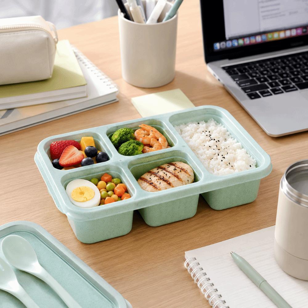 Plastic Fruits Box Transparent Lid Food Storage Box Fresh-keeping Lunch Box  Students