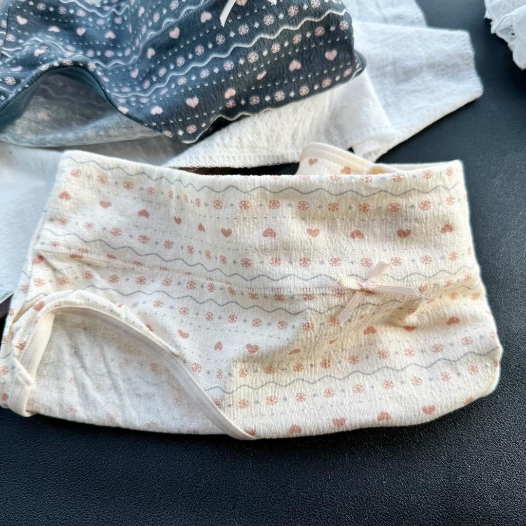 Ladies Summer Cute Printed Cotton Wide Edge Wrap Hip Mid Waist Triangle Briefs