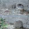 Anti Insect Bird Gutter Guards Anti Blocking Downspout Filter Strainer  Bathroom Pipe