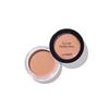 The Saem Cover Perfection Pot Concealer