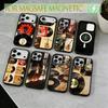 Vinyl Record Phone Case For iPhone17,16,15,14,13,12,11 Plus,Pro Magnetic For Magsafe Wireless Charging