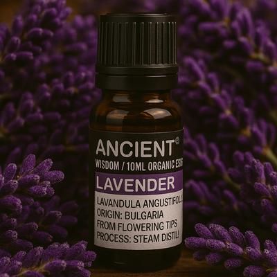 Ätherisches Lavendelöl Bio Bulgarisch 10ml