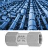 304 Stainless Steel Hex Split Check Valve High Temperature&Pressure Endurance (3 8in BSPP)