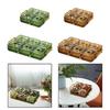 Nonslip Divided Snacks Fruit Tray With Lid Snacks Fruit Tray Removable Snacks Platter Candy Storage Box Easy to Use