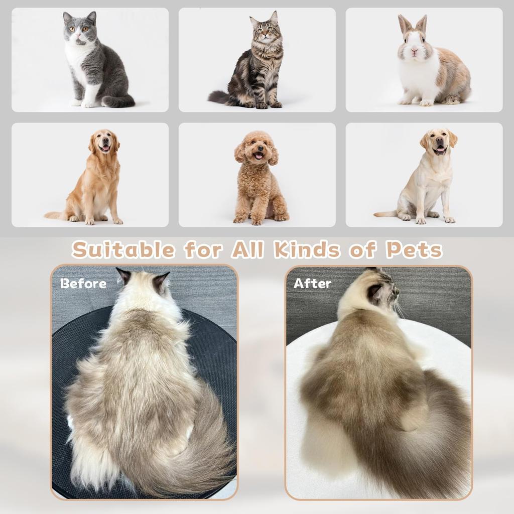 Multifunctional Pet Care Massage Grooming Brush Cat Dog Spray Steam Hair Removal Comb for Effectively Shedding Control