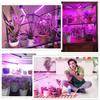 USB LED Plant Grow Light Indoor Garden 10 Dimmable Levels Grow Light Full Spectrum Timer Setting Hydroponic Greenhouse 3H/9H/12H