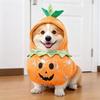Funny Halloween Pet Dog Cosplay Costume with Wig & Foam Toy Knife, Cute Transformed Outfit for Small Medium Dogs Holiday Party