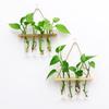 Glass Hanging Planter Terrarium Hydroponics Wood Plants Test Hook Tube