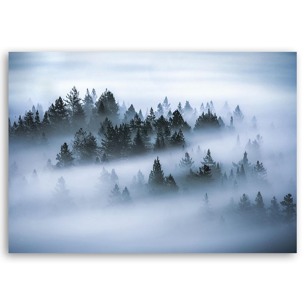 Canvas Print Forest In the Fog