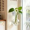 3PCS Hanging Wall Mounted Flower Pot Semi Circular Wall Mounted Vase Plant Propagation Jar  Kitchen