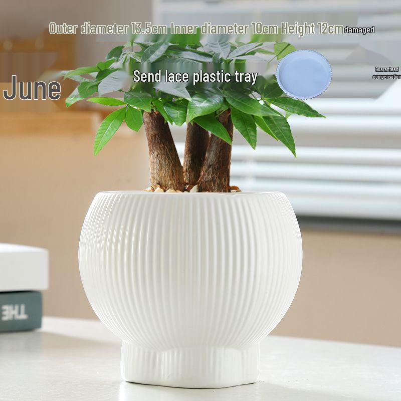 Nordic Ceramic Flower Pot with Tray – Large, Light Luxury Design for Pothos & Phalaenopsis.