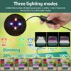 Seed Starter Tray with Grow Light Humidity Adjustable Seedling Trays Mini Propagator Triple Lighting Modes Gardening Accessories