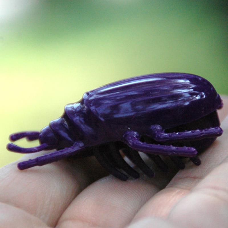 toy bugs that vibrate HEXBUG Nano Newton Interactive Sensory Vibration Toys for Kids and Cats main image 1