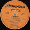 12inch Record ROXXY 2  Ill Never Stop NU176 Numuzik Inc. 1995 Canada Dance  Electronica Used