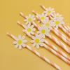 20pcs Eco Friendly Disposable Straws Paper Drinking Straw Party Supplies Daisy Straws  Wedding