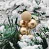 20 Pcs Simulated Christmas Artificial Berries Gold/Silver Gift Box Decorative Berries  Wedding