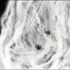 3/6/10 Meters Glow in The Dark Spider Web Polyester Halloween  Cobwebs  Home/Outdoor Decor