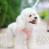 New Dropshipping Breathable Nylon Chest Harness Set for Dog Walking Traction Rope Feature