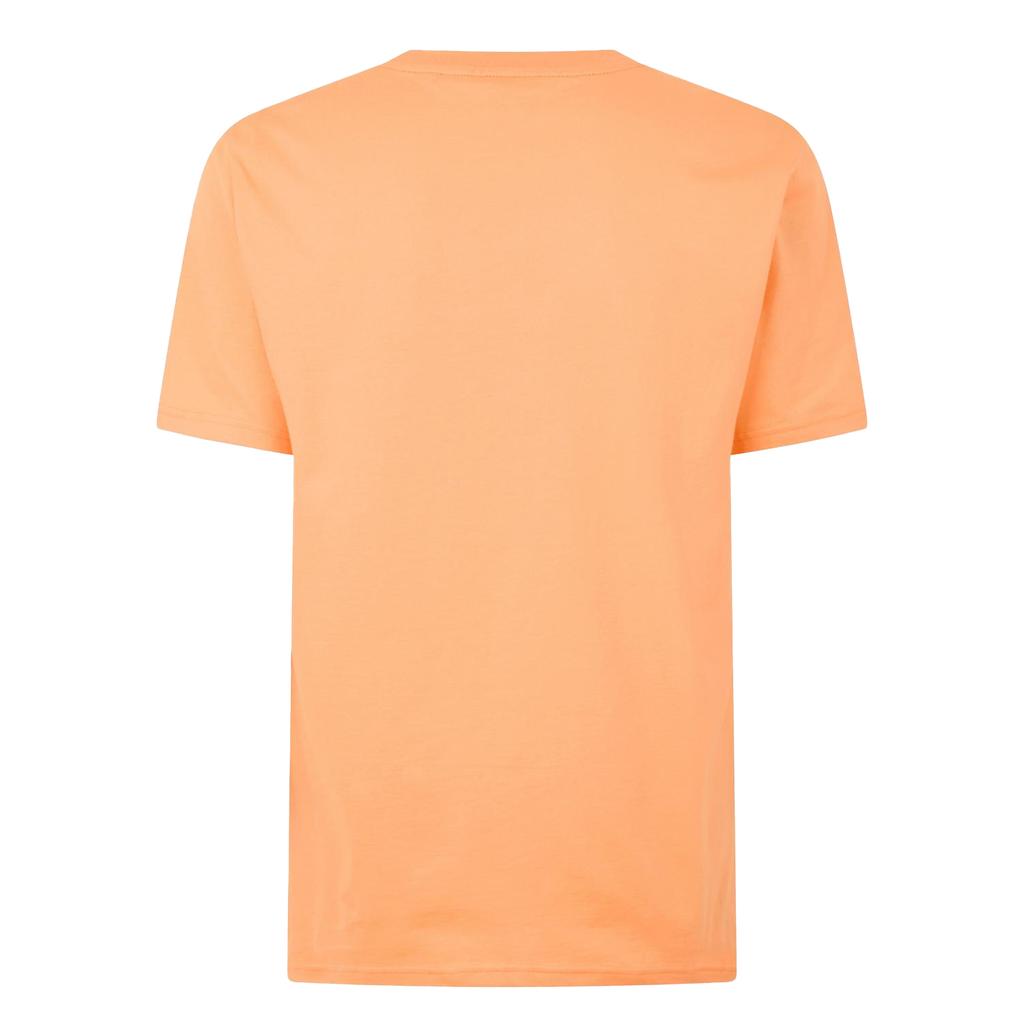 Boss Mens Hbw Logo T-Shirt