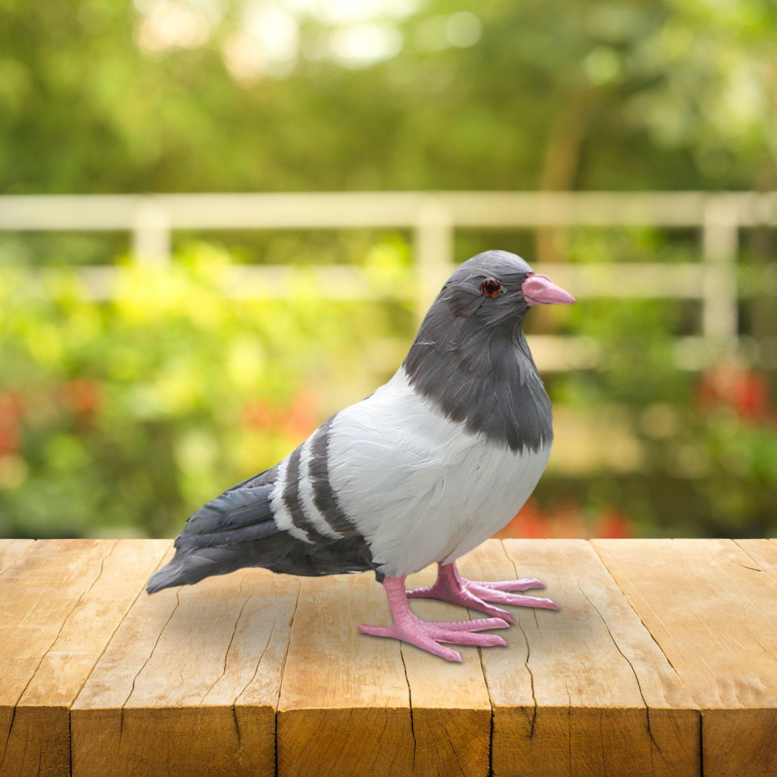 

Реалистичная скульптура голубя: Изысканный садовый декор для улицы