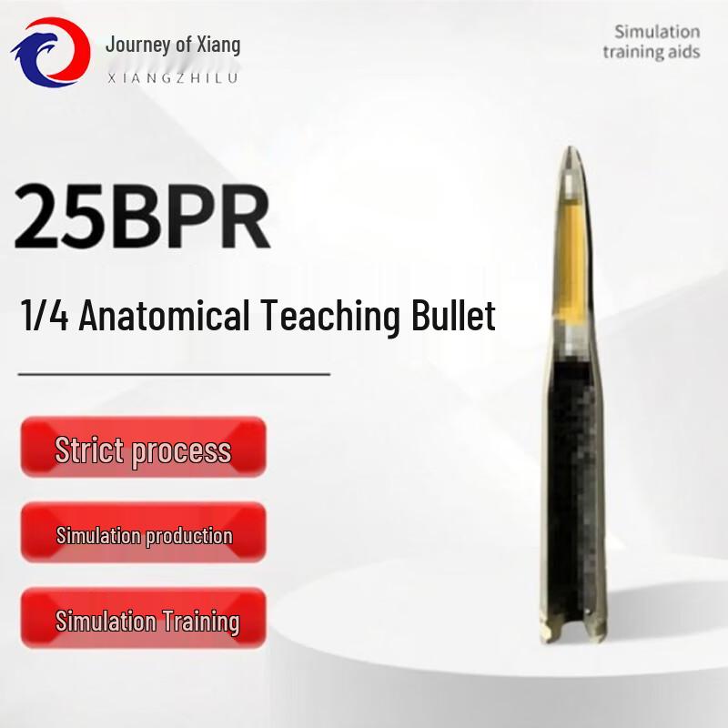 1/4 Scale 25BPR Anatomical Bomb Training Model