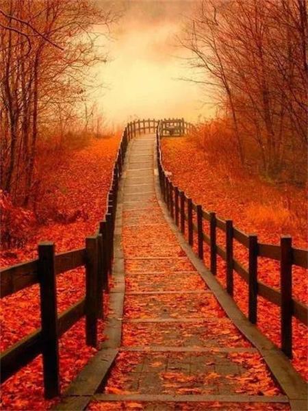 5D Diamond Painting New Arrivals Tree Bridge Full Square Round Embroidery Mosaic Landscape Home Decor