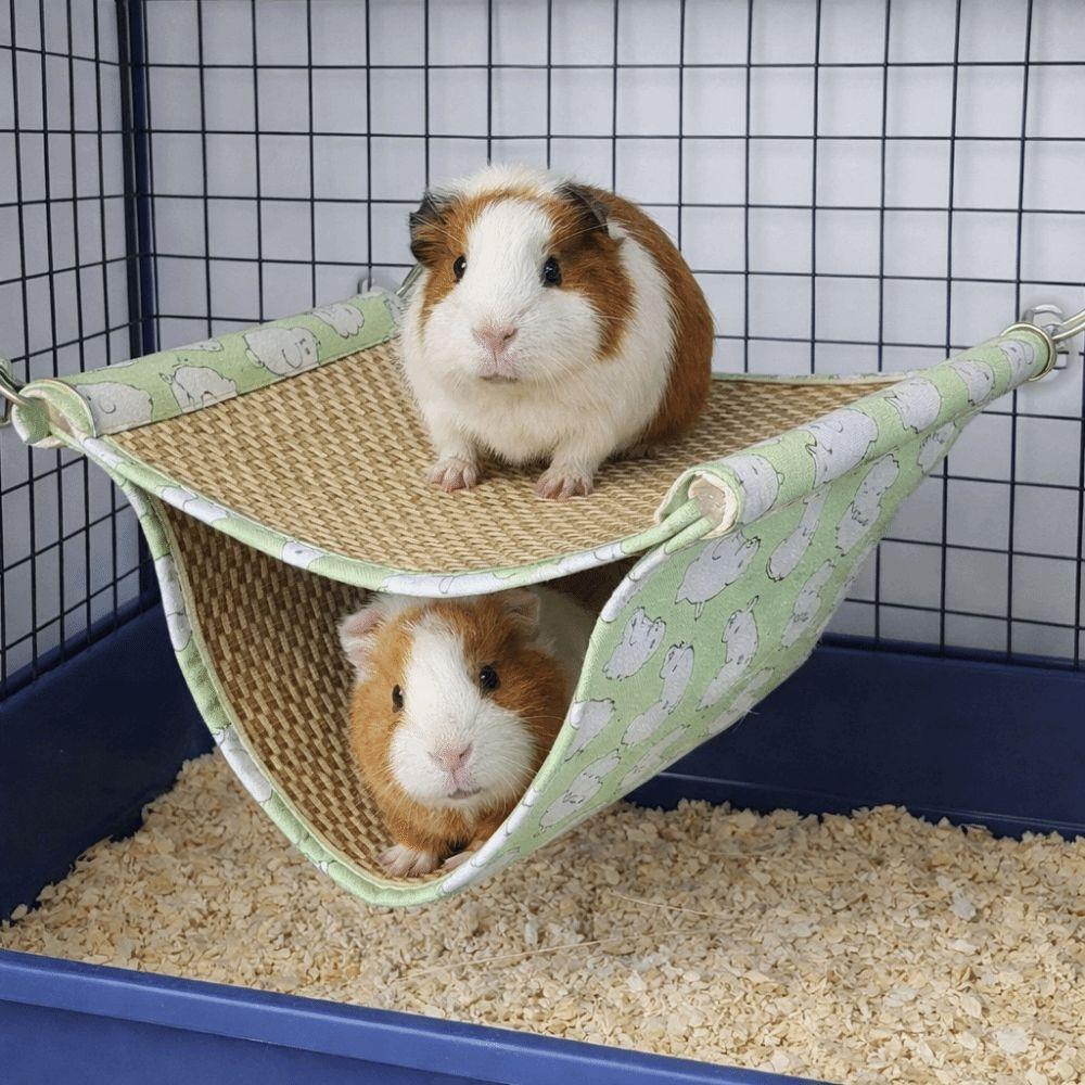 Double Layered Pet Hammock Cool Mat Hamster Jumping Platform Pet Supplies Hanging Nest  Summer