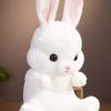 45/55CM Lovely Sitting Rabbit Plush Toys Kawaii Long Ear Bunny Plush Pillow Stuffed Soft Dolls Children Birthday Brinquedos Gift