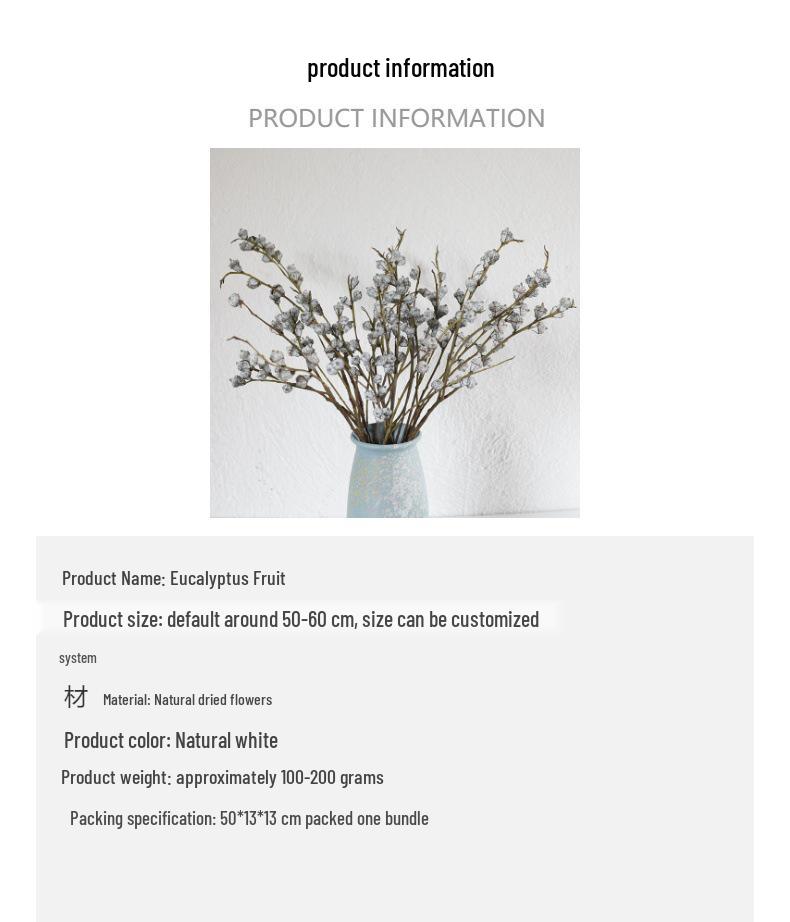 Yunnan Eucalyptus Dried Flowers with Small White Fruits - Medium and Large Diamond Eucalyptus Fruits for Home Decor.