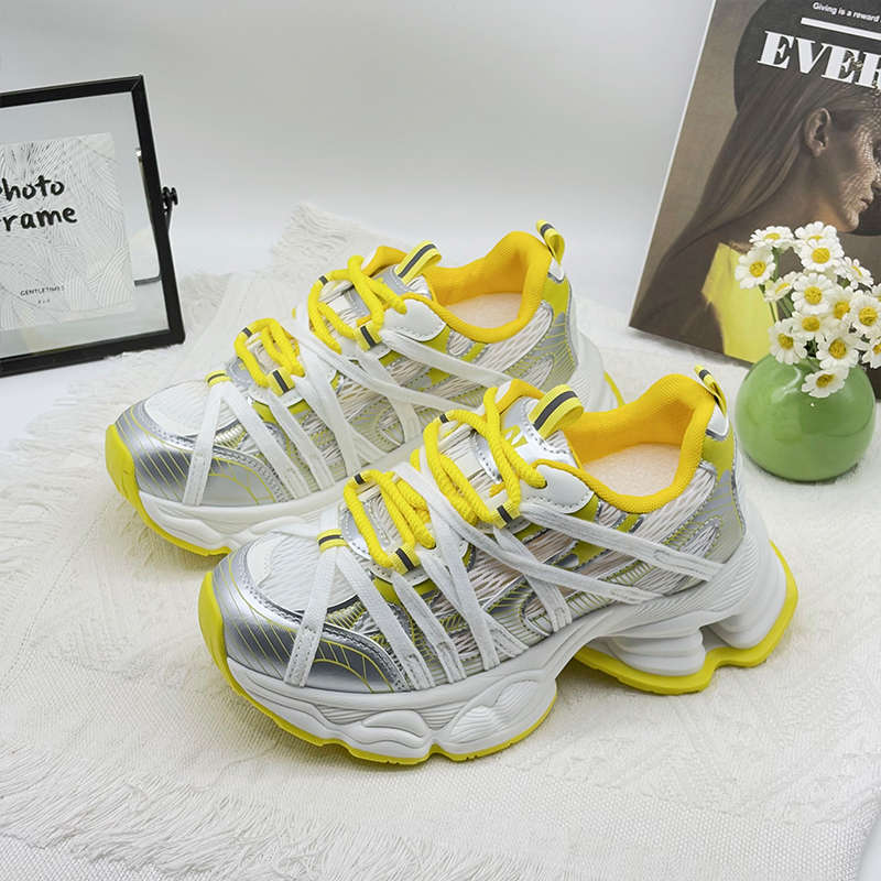 Paris dad shoes women's platform old retro 2025 spring and autumn new casual mesh breathable fashion sports shoes tide