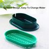Cat Grass Planter Hydroponic Cat Grass Growing Kit No Seeds Included  Catnip Wheatgrass Seed Sprout Tray Nursery Plant Planting Box for Indoor Cats
