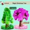 Magic Blooming Christmas Tree Toy: Colorful Crystallization Snowflake for Kids