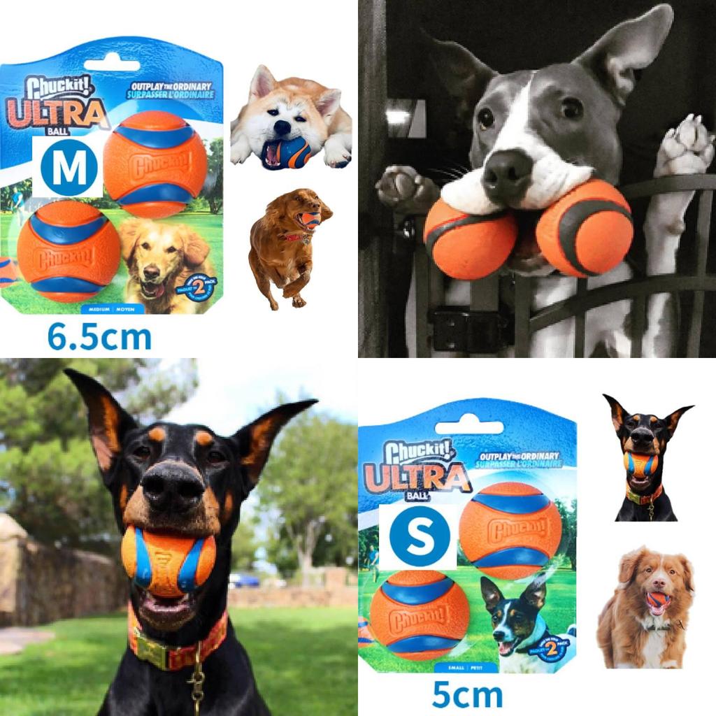 Chuckit Gummiball Medium Einzelpack Robustes Kauspielzeug Interaktives Geräuschspiel Haustier Hundespielzeug