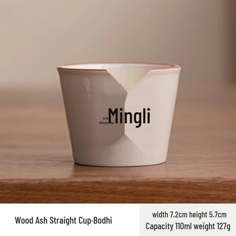 Ceramic Insulated Teapot with Teacup