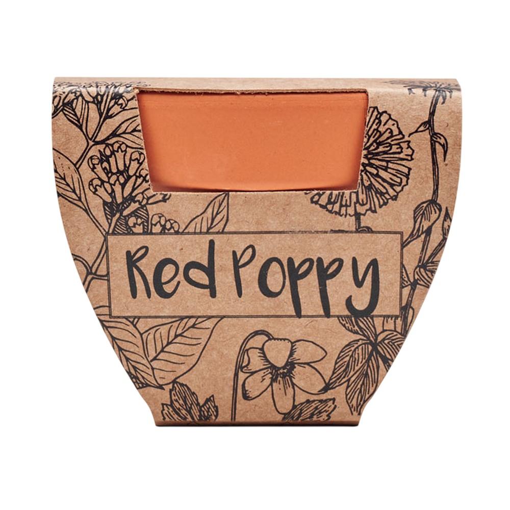 MidOcean Red Poppy Terracotta Seed Plant Pot
