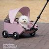 Vêtements et chaussures – Accessoires pour chien