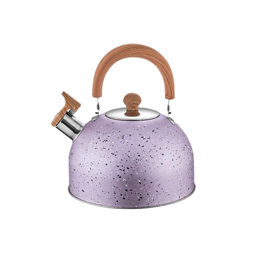 Flat Bottom Star Point Whistle Kettle 2/3L Teapot Durable Stove Water Kettle  Induction Cooker