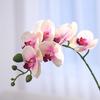 Moisturizing Phalaenopsis simulated flower home furnishing hotel wedding decoration fake flower bonsai simulated plant